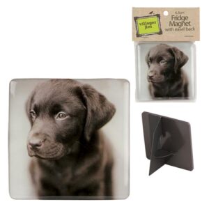 VJ Magnet Barney Mocca NO WM