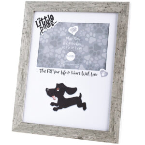 LP Frame Dachshund B2B