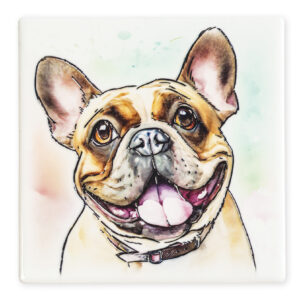 Coaster French Bulldog B2B