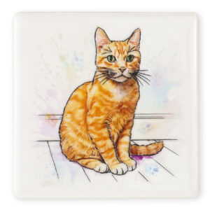 Coaster Cat Ginger B2B