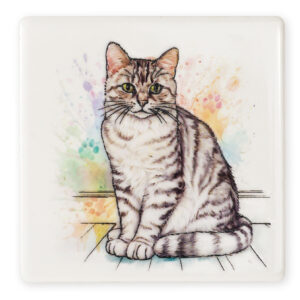 Coaster Cat Silver Tabby B2B