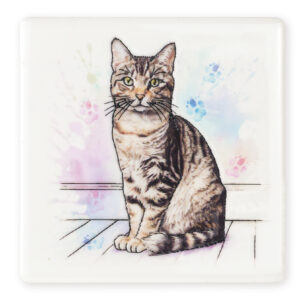 Coaster Cat Tabby B2B