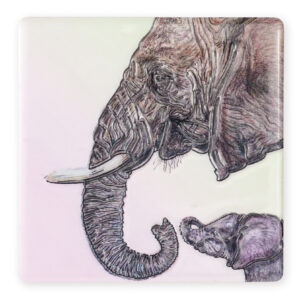 Coaster Wildlife Elephant B2B