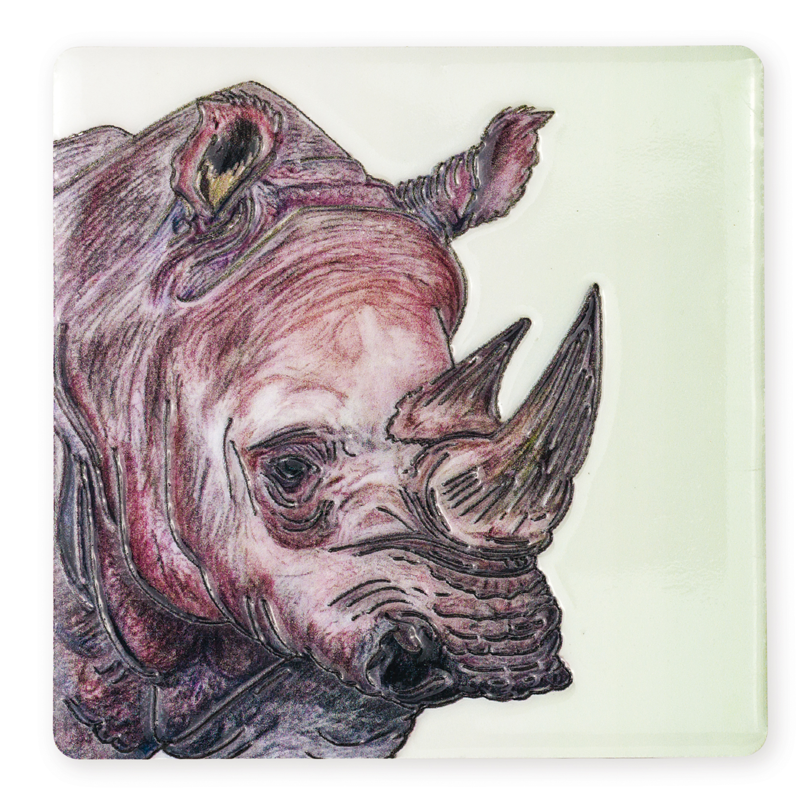 Coaster Wildlife Rhino B2B
