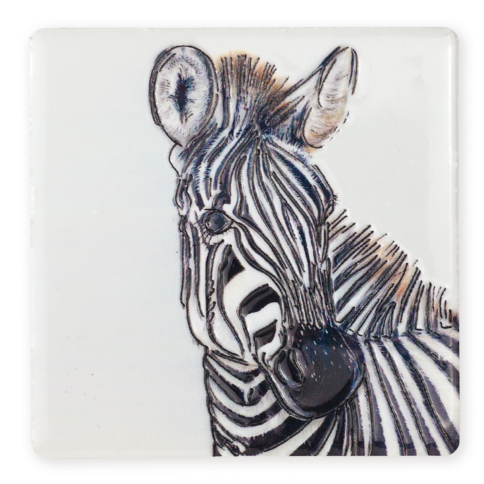 Wildlife Coasters