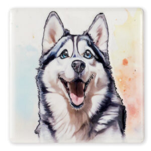 Magnet Husky B2B