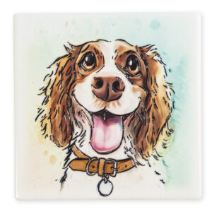 Magnet Springer Spaniel B2B