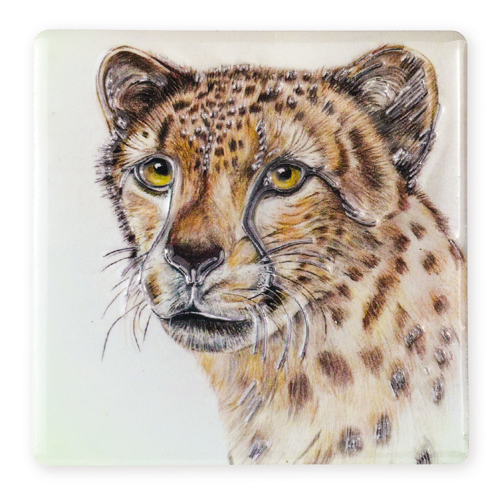 Wildlife Magnets