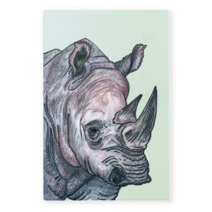 Wildlife Front Of Tile Rhino B2B
