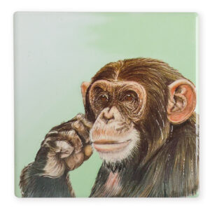Coaster Wildlife Chimp B2B