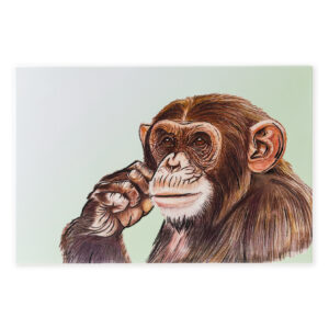 Wildlife Front Of Tile Chimp B2B