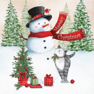 AEL03 Snowman And Cat